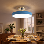 Solon LED Ceiling Light