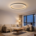 Nordic Disc LED Ceiling Light