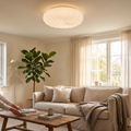 Olara Ceiling Light